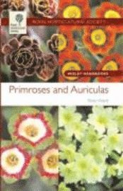Primroses and Auriculas (h�ftad)