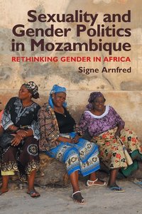Sexuality and Gender Politics in Mozambique (inbunden)