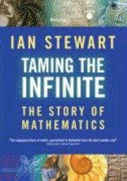 Taming the Infinite (inbunden)