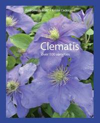 Clematis (kartonnage)