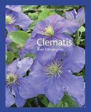 Clematis (inbunden)