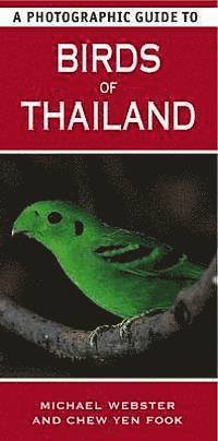 Photographic Guide To Birds Of Thailand (h�ftad)