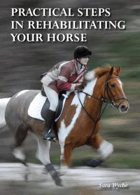 Practical Steps In Rehabilitating Your Horse (inbunden)