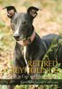 Retired Greyhounds - A Guide to Care and Understanding