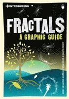Introducing Fractals (h�ftad)