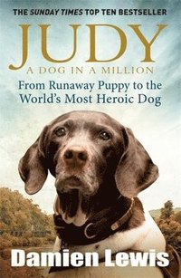 Judy: A Dog in a Million