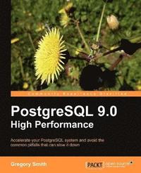 PostgreSQL 9.0 High Performance (h�ftad)