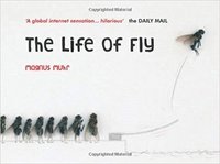 The Life of Fly (inbunden)