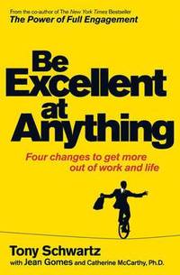 Be Excellent at Anything (h�ftad)