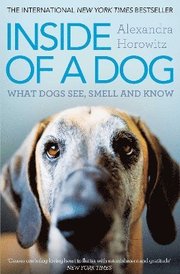 Inside of a Dog (h�ftad)