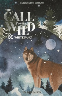 Call of the Wild: AND White Fang (ljudbok)