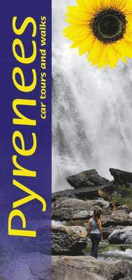 Pyrenees (h�ftad)