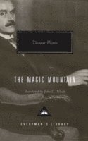 The Magic Mountain (inbunden)
