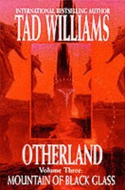 Otherland: Bk. 3 Mountain of Black Glass (h�ftad)