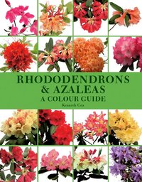 Rhododendrons And Azaleas (inbunden)