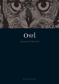 Owl (h�ftad)