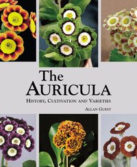 The Auricula (inbunden)