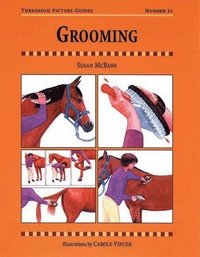 Grooming: Threshold Picture Guide #21 (inbunden)