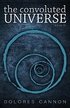 Convoluted Universe: Bk. 4