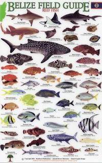 Reef Fish (inbunden)