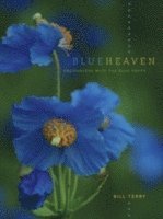 Blue Heaven (h�ftad)