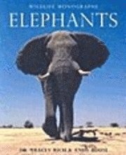 Elephants (h�ftad)