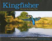 Kingfisher (inbunden)
