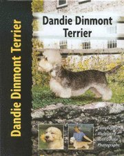 Dandie Dinmont Terrier (inbunden)