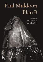 Plan B (inbunden)