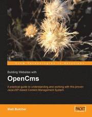 Building Web Sites with OpenCms (h�ftad)
