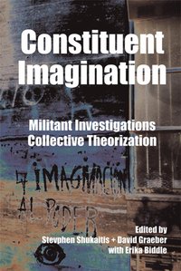 Constituent Imagination (inbunden)
