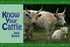 Know Your Cattle