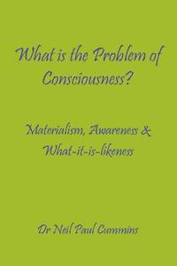 What is the Problem of Consciousness? (h�ftad)