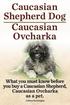 Caucasian Shepherd Dog. Caucasian Ovcharka. What You Must Know Before You Buy a Caucasian Shepherd D