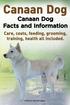 Canaan Dog. Canaan Dog Facts and Information. Canaan Dog Care, Costs, Feeding, Grooming, Training, H
