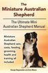 The Miniature Australian Shepherd. the Ultimate Mini Australian Shepherd Manual Miniature Australian