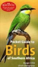 Pocket Guide to Birds of Southern Africa (h�ftad)