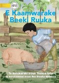 Ruuka Feeds A Pig - E Kaamwarake Beeki Ruuka (Te Kiribati)