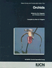 Orchids (h�ftad)