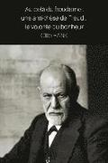 Au del du freudisme: une anti-thse de Freud, la volont du bonheur
