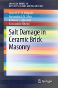 Salt Damage in Ceramic Brick Masonry