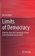 Limits of Democracy