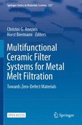 Multifunctional Ceramic Filter Systems for Metal Melt Filtration