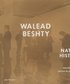 Walead Beshty