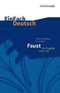 Faust - Der Tragdie erster Teil. EinFach Deutsch Textausgaben