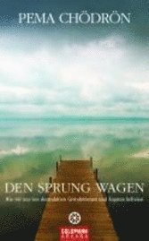 Den Sprung wagen (inbunden)