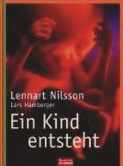 Ein Kind entsteht. Sonderausgabe (inbunden)