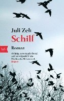 Schilf (pocket)