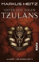 Die Dunkle Zeit 04. Unter den Augen Tzulans (h�ftad)