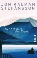 Der Schmerz der Engel (inbunden)